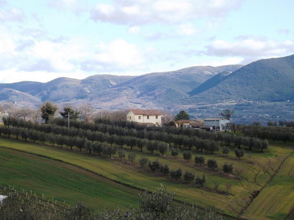 Marco & Andrea Agriturismo Amelia Exterior foto