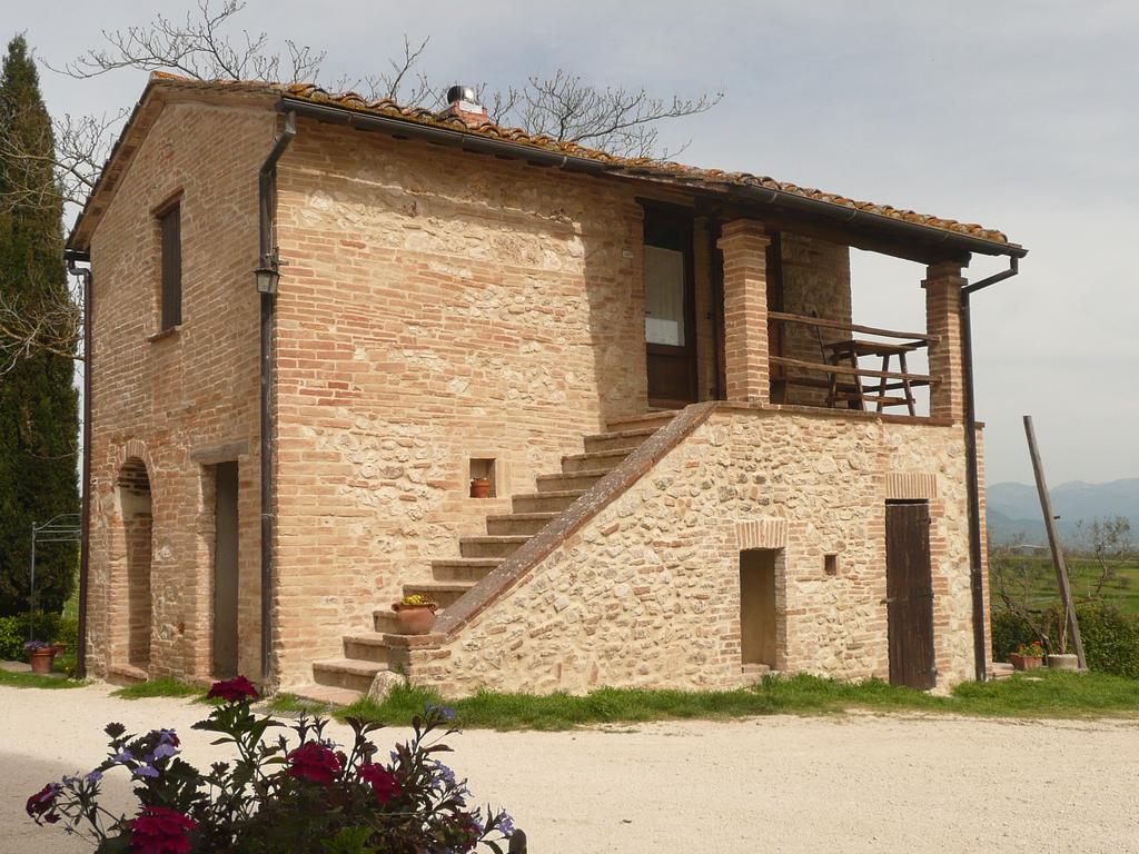 Marco & Andrea Agriturismo Amelia Exterior foto